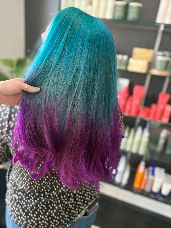 Wild Olive Salon — Hair salon in Jacksonville